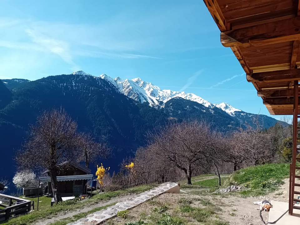 View from property