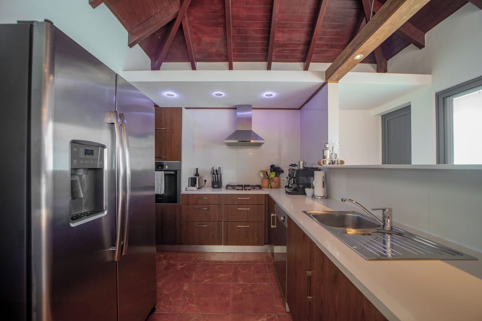 Fully equipped kitchen with electric oven, gas and vitro ceramic stove, microwave, dishwasher, fridge and freezer, ice maker, toaster, regular coffee machine, Nespresso and Italian coffee machines, blender, electric kettle, electric fruit squeezer. Servic
