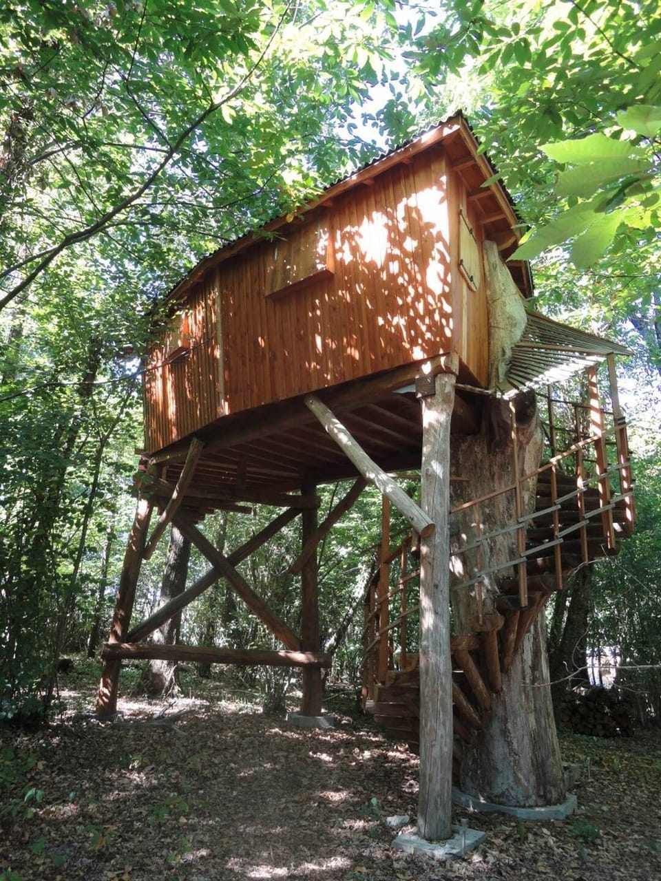 cabane dans les arbres