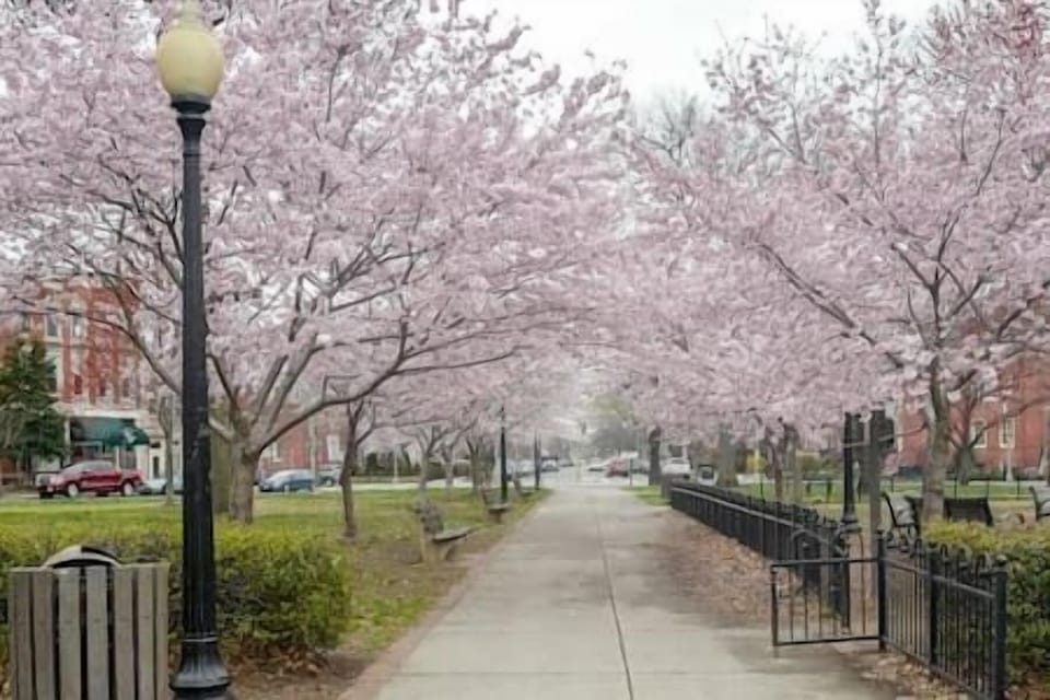 Just one block away, Stanton Park offers cherry blossoms, open green space, and a gated playground—perfect for families or a peaceful stroll.