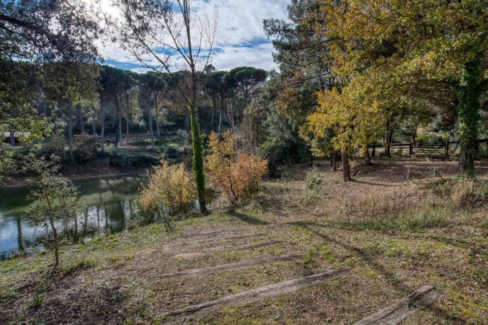 Surroundings [summer] (1-5 km)