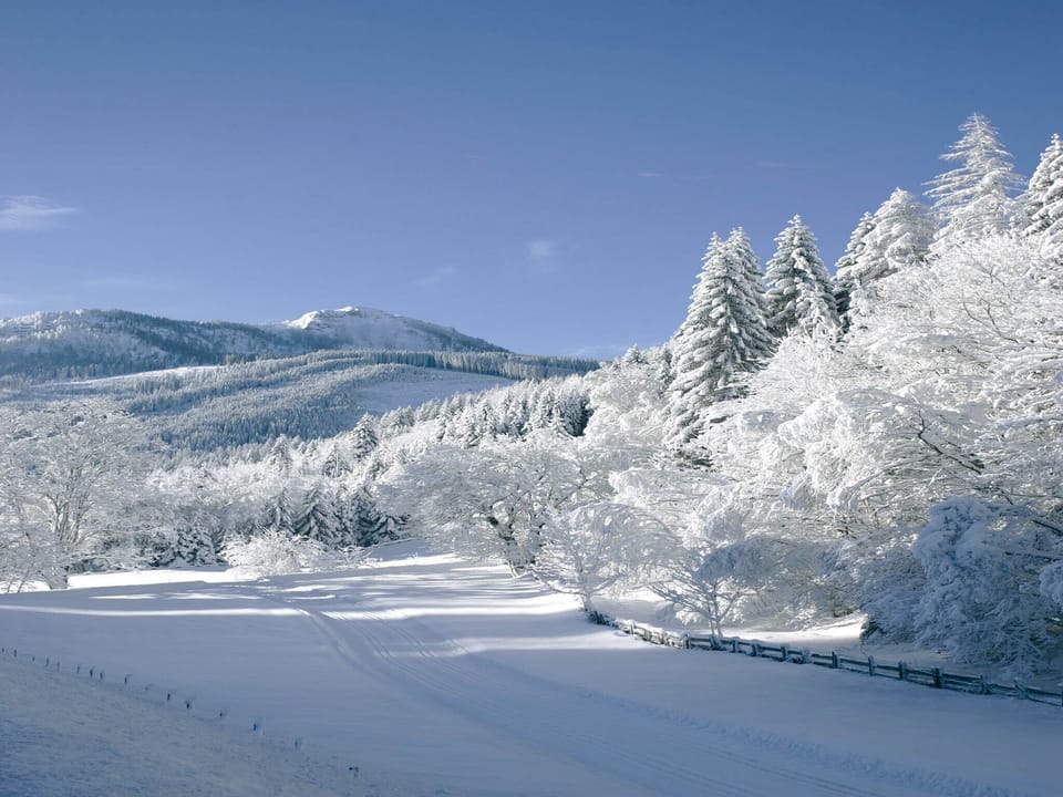 Immediate Surroundings [winter] (<1 km)