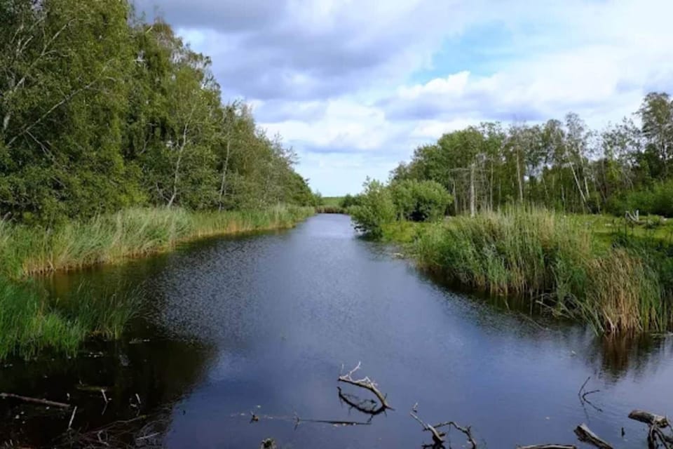 Water view