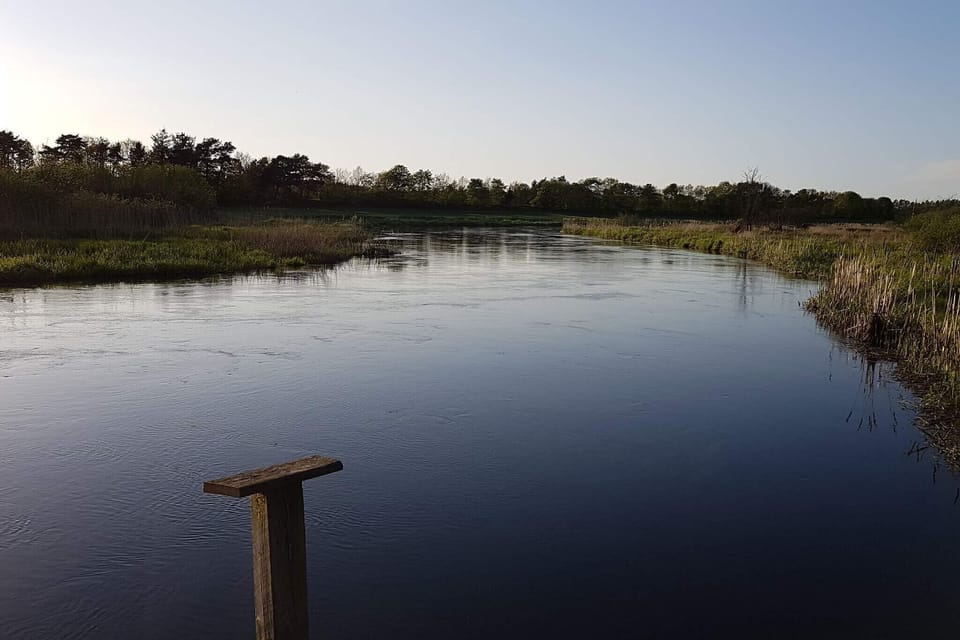 Water view