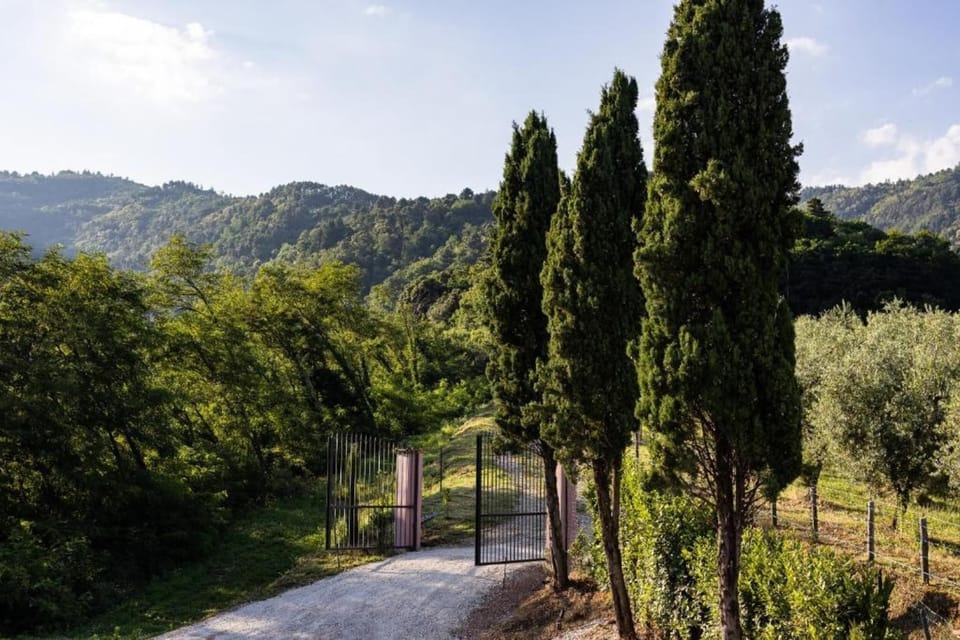 Region [summer] (>5 km)