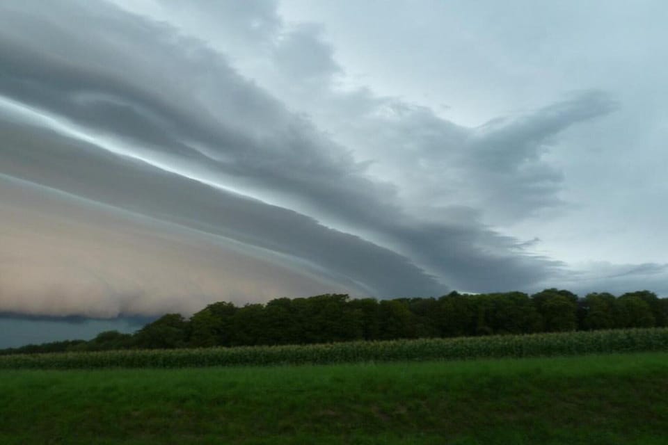 Region [summer] (>5 km)