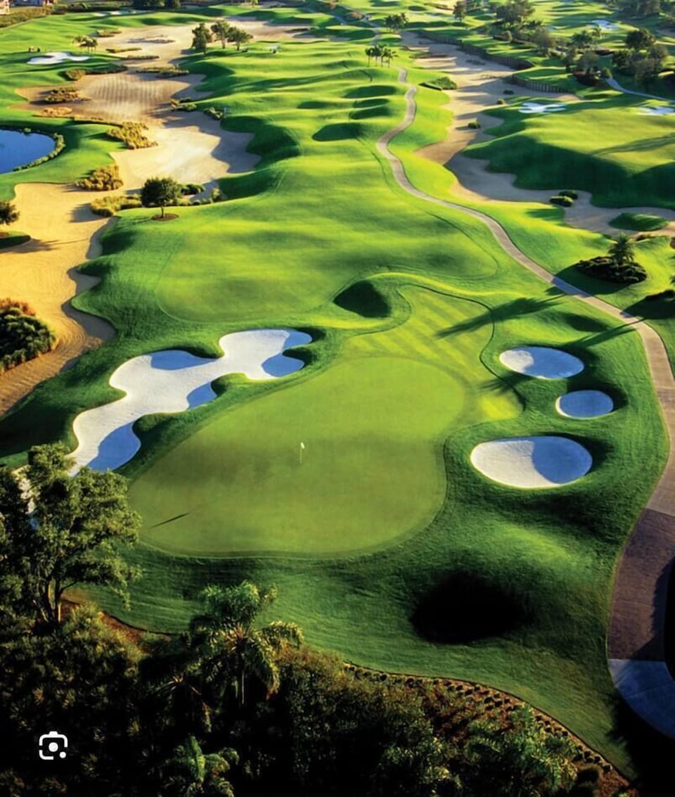 3 Championship Golf Courses at one resort!