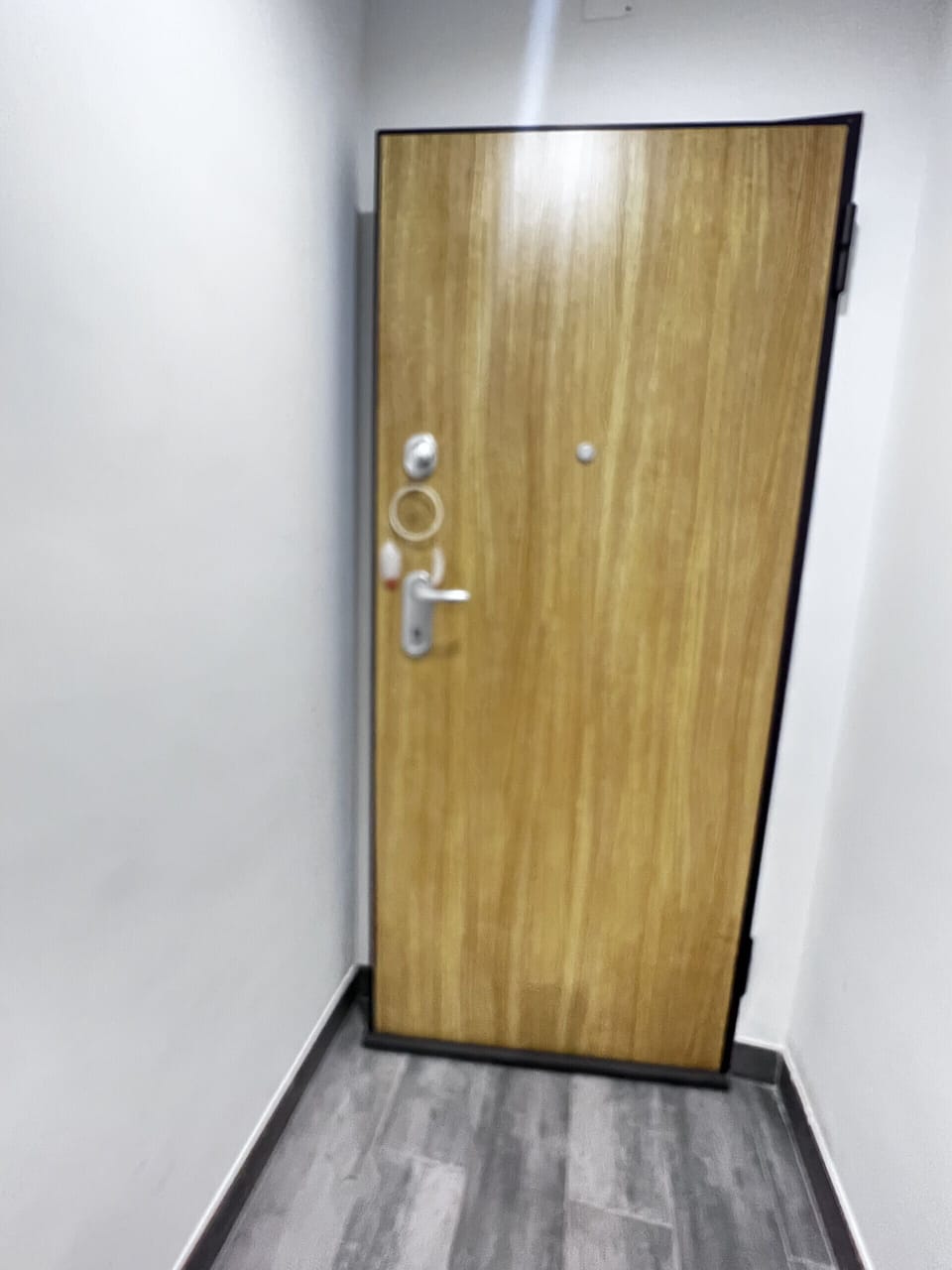 high security door