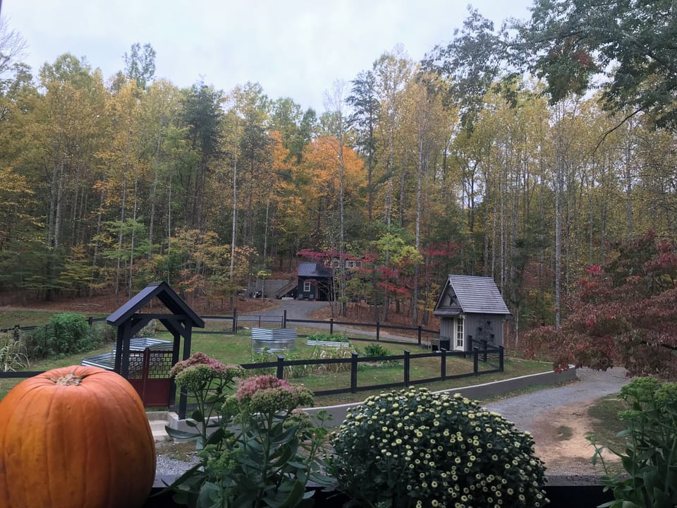 The main garden area near the farm store. 