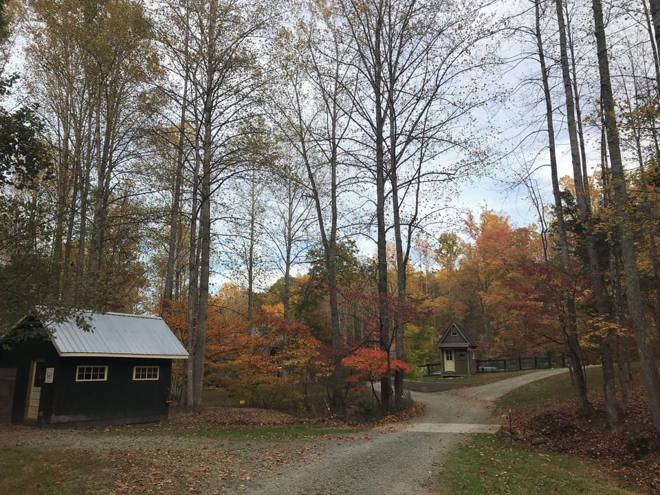 The chicken coop and driveway leading to the farm store and moonshine