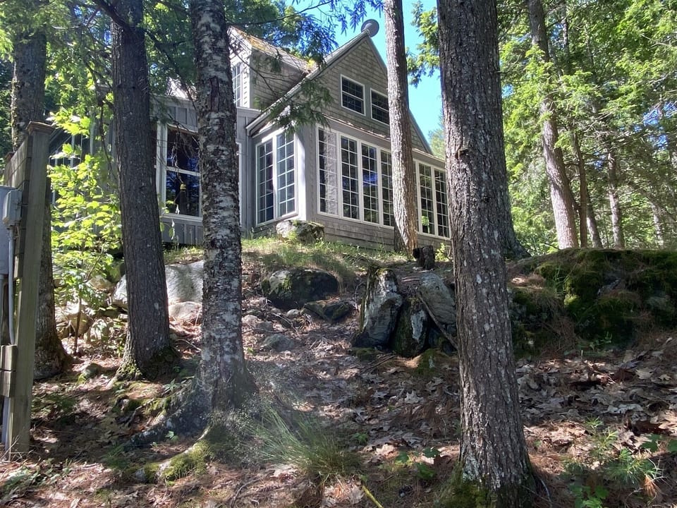 Front View