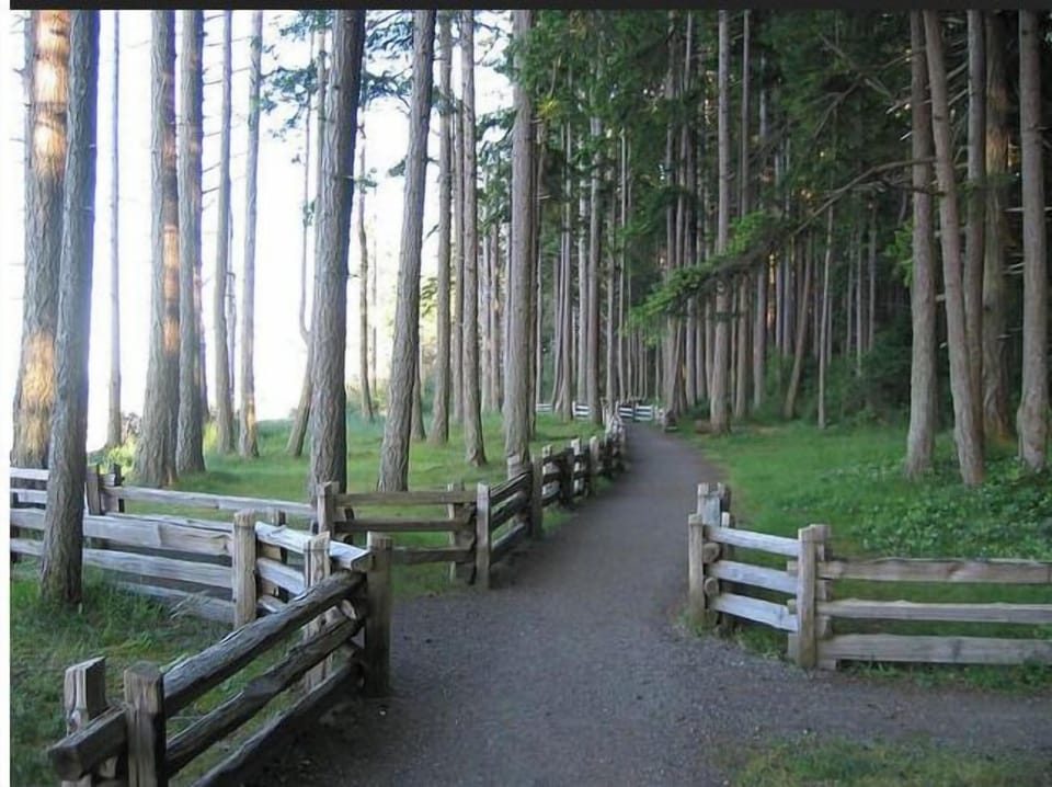 Amazing trails nearby!