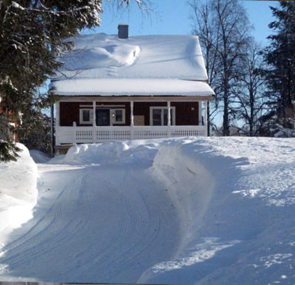 winter