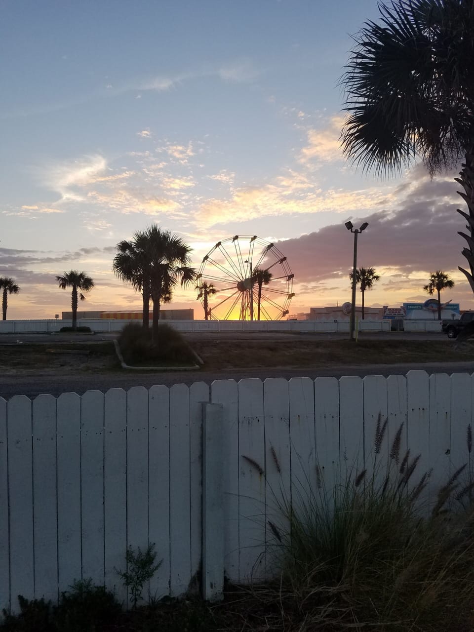 explore the parks, restaurants, shops and nightlife nearby