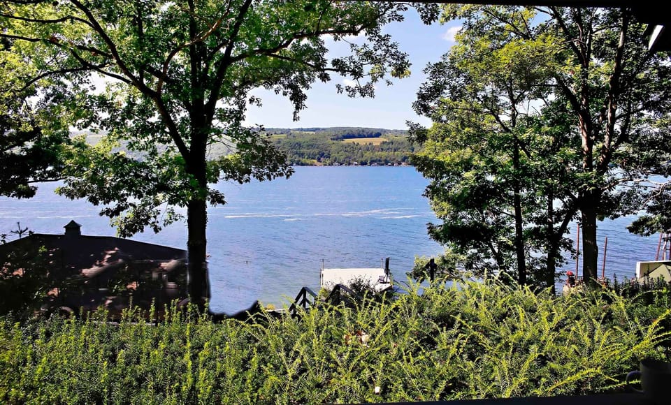View from property