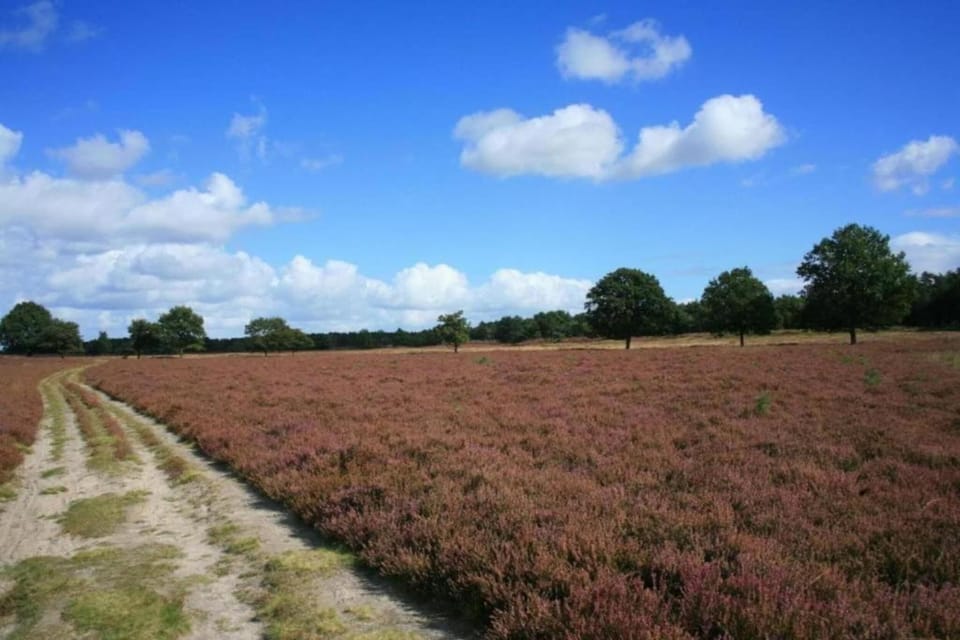 Surroundings [summer] (1-5 km)