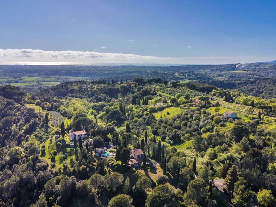 Natural Environment, Nature, Vegetation, Natural Landscape, Landscape, Bird'S-Eye View, Highland, Ecoregion, Grassland, Aerial Photography