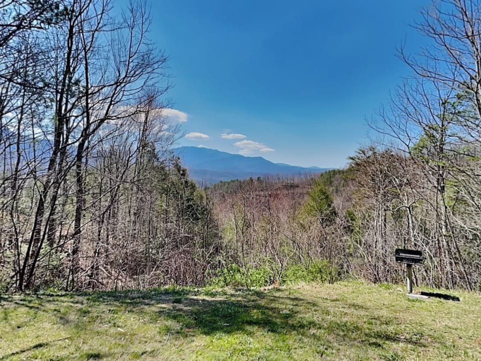 A Smoky Mountain View