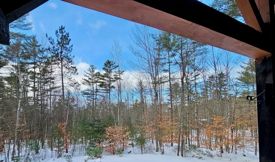 Quiet backyard