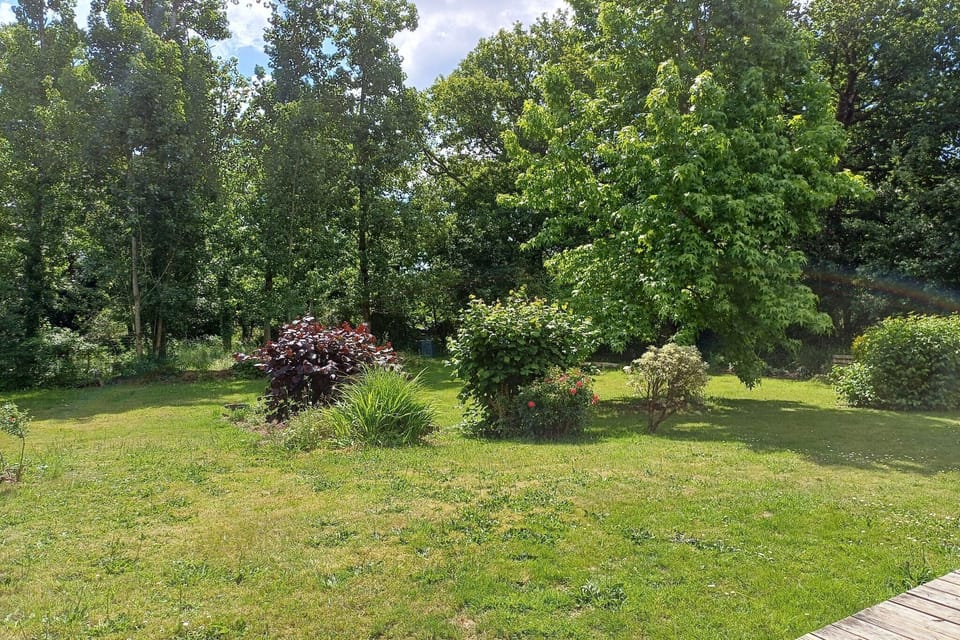 Garden [summer]