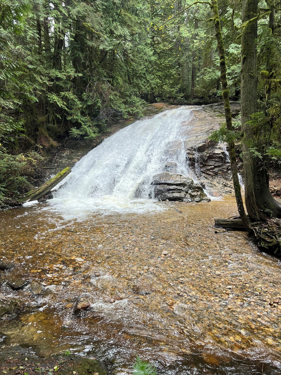 Cliff Gilker park hike