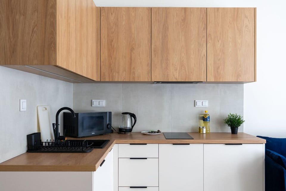 Kitchen with Microwave and Dishwasher | Book Now with RENTUJEMY.COM