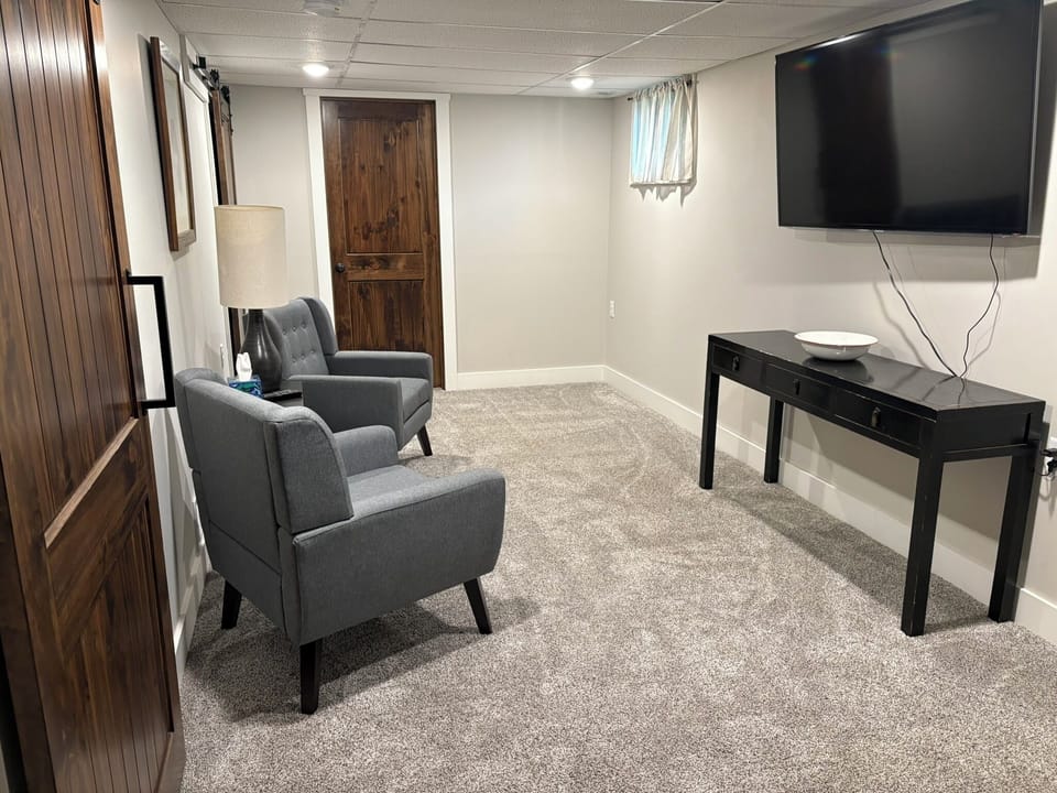 Lower level family room
