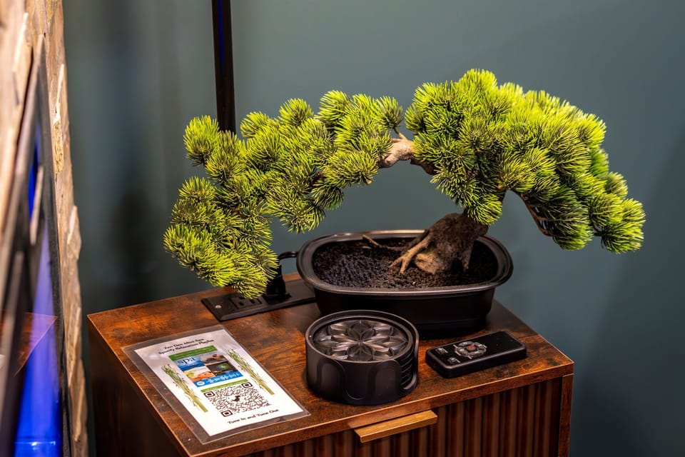 The details matter — a sculptural bonsai, tranquil lighting, and a custom-made Spotify spa playlist invite you to breathe deep and fully unwind