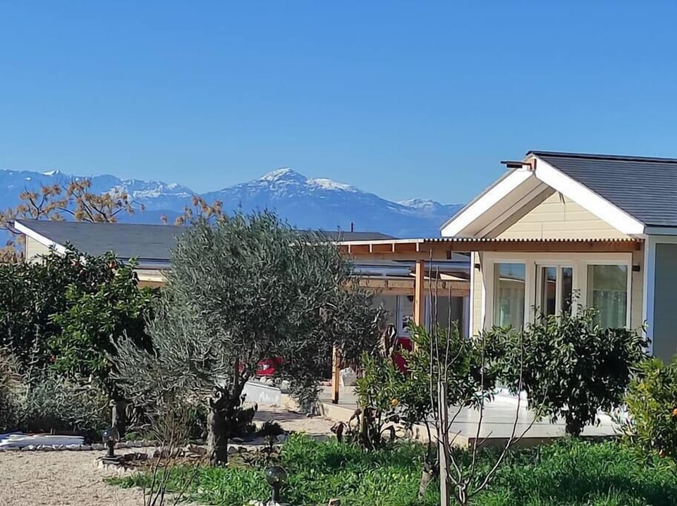 10d17cad 30b1 4753 a2d9 8c6aeae50bc8