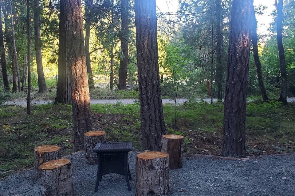 625e4313 7d18 458f a3c0 538b093deaf2