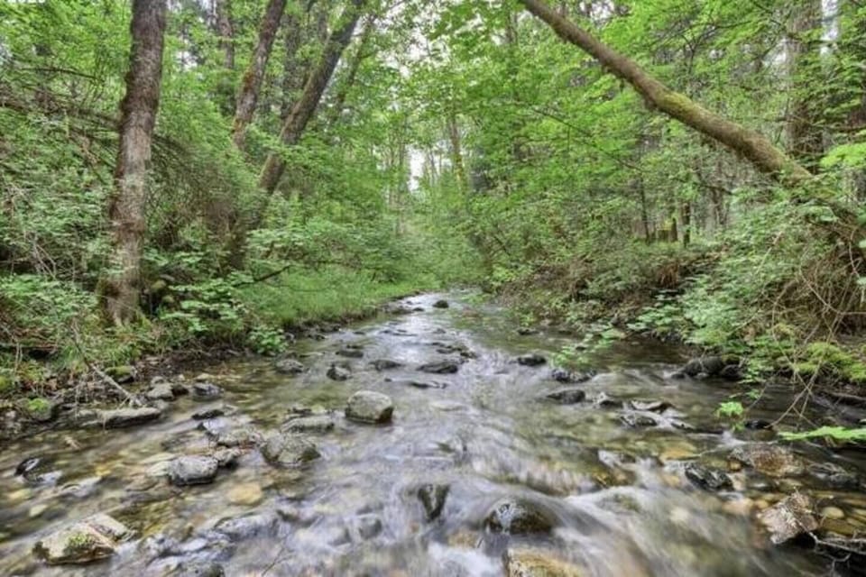 Da4dae53 81af 46c8 b3d9 cba5f0ae6edf