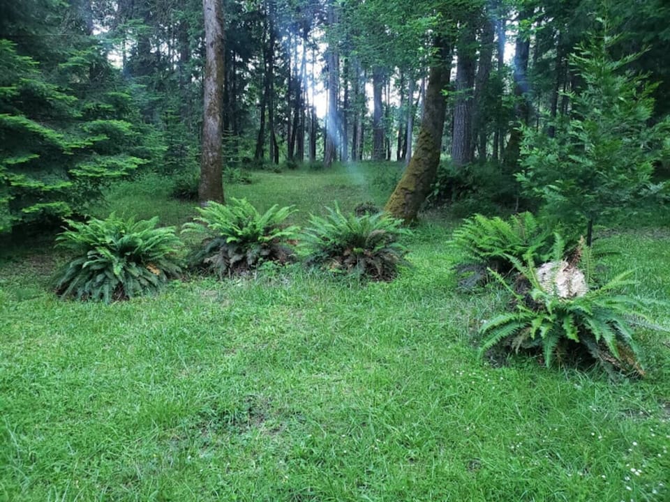 scenes like this are everywhere!