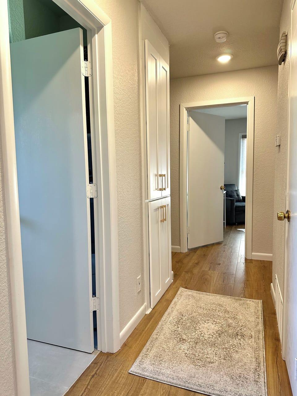 Hallway with ample storage space.