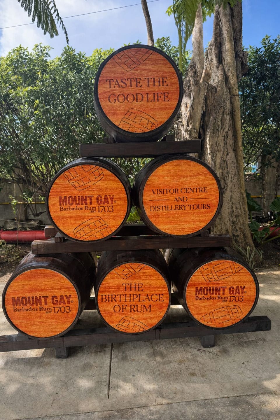 Activity- Rum Tour of Mount Gay