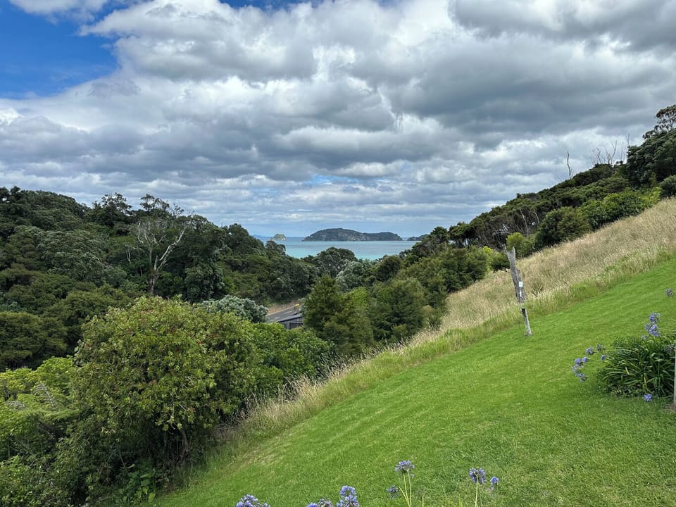 Aroha A-Frames Coromandel (20)