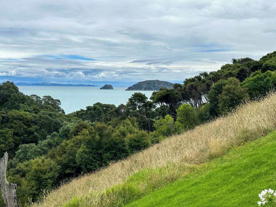 Aroha A-Frames Coromandel (4)