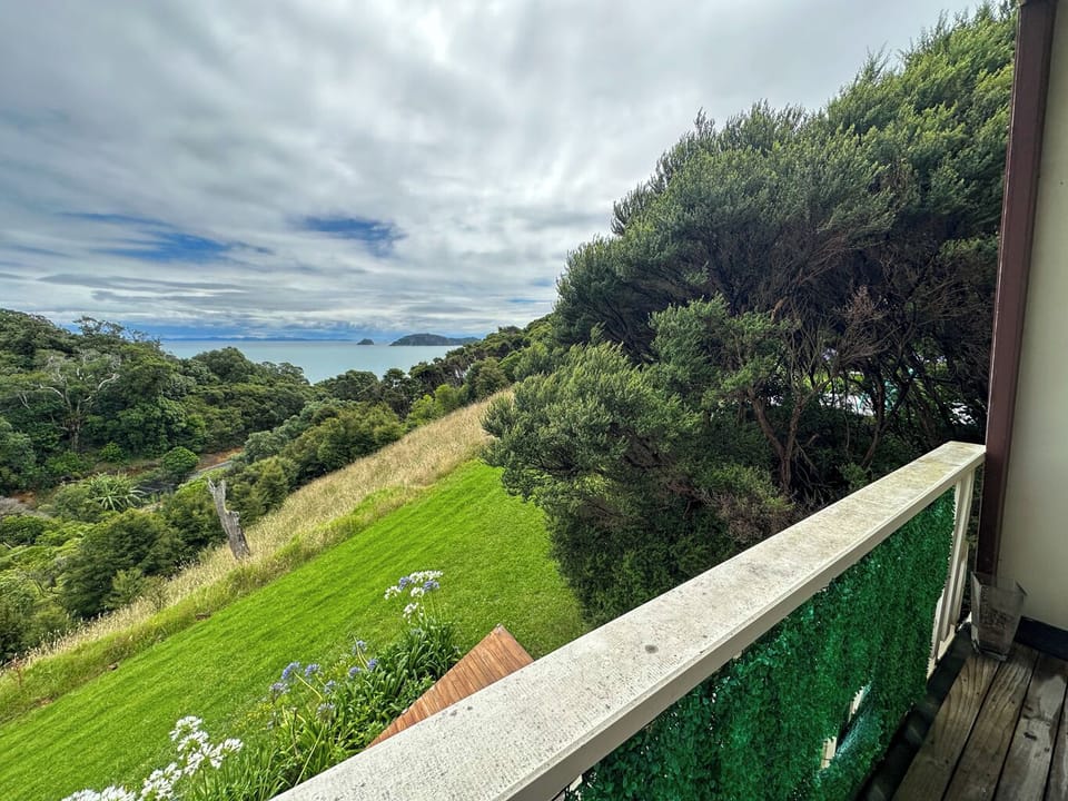 Aroha A-Frames Coromandel (9)