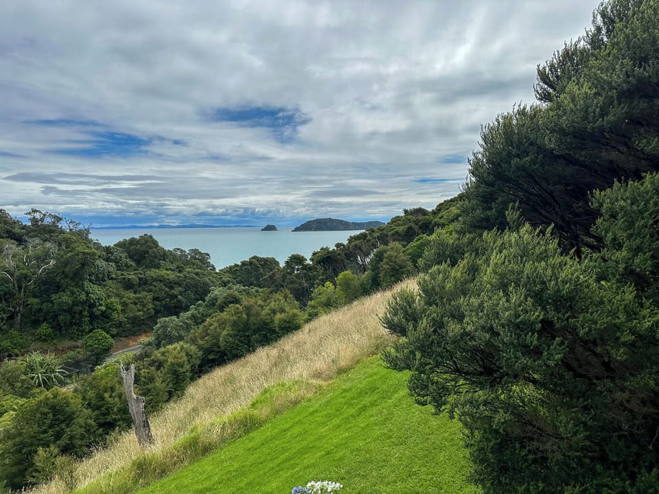 Aroha A-Frames Coromandel (10)