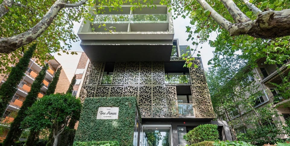 The Tree House 