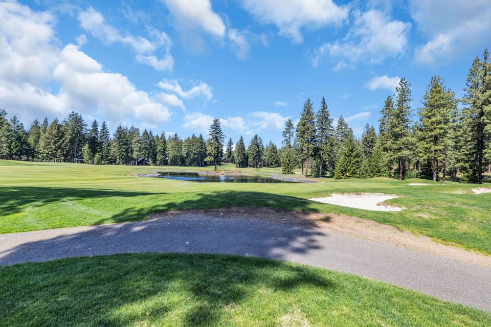 Backyard View – Open Lawn + Pines for Games or Scenic Moments