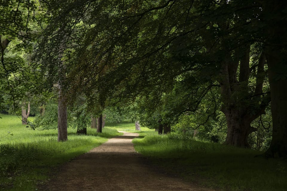 Churchill Cottage - a trail leading through the Deer Park