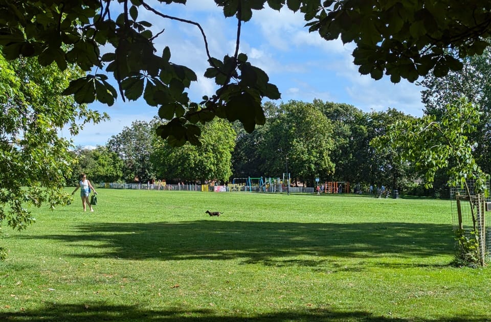 Belmont park 150m from Starbeck House apartments