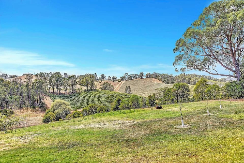 Immerse yourself in the breathtaking panorama of rolling hills and sprawling vineyards, a serene backdrop for your stay.