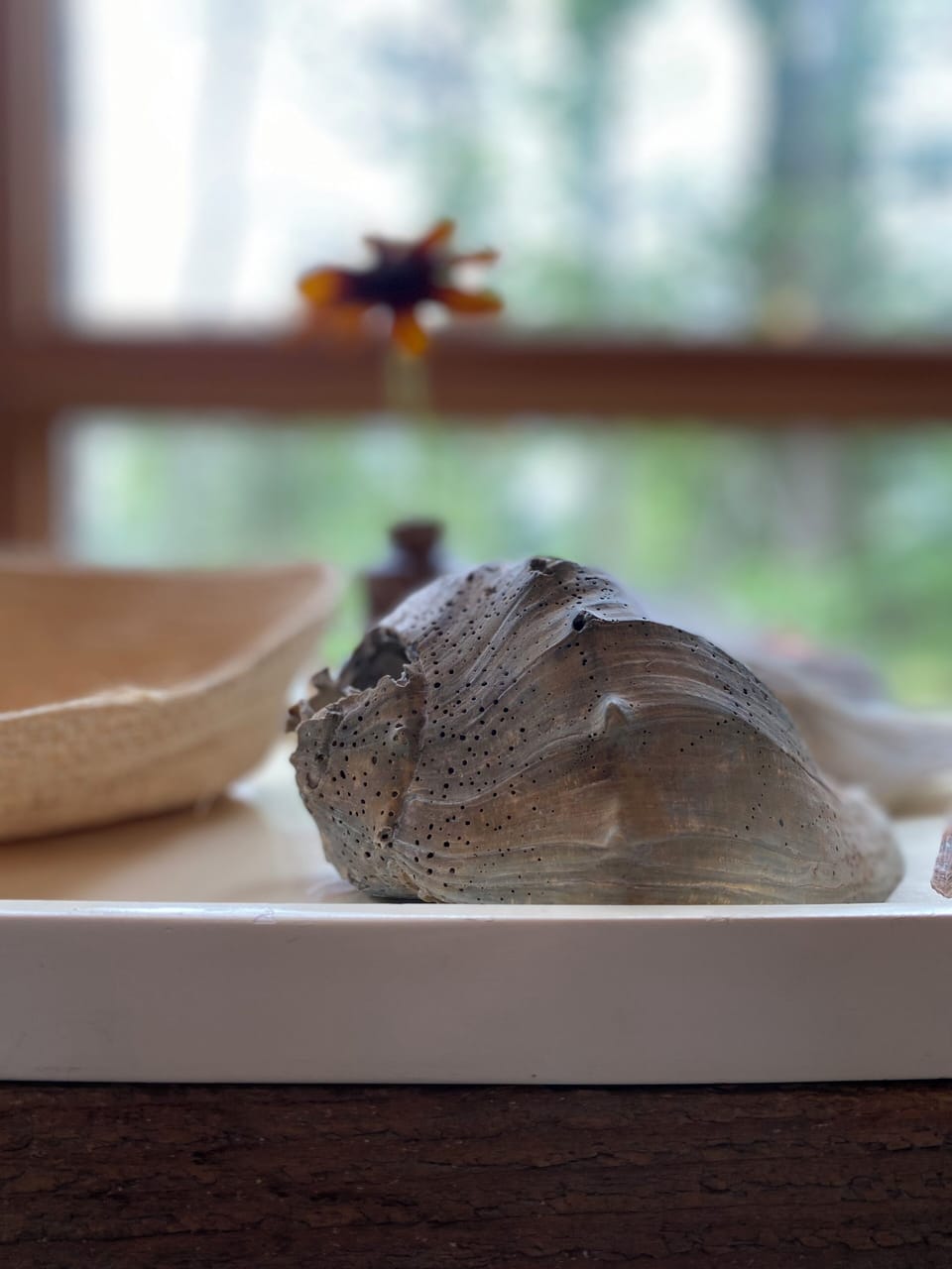 Relax and enjoy nature.