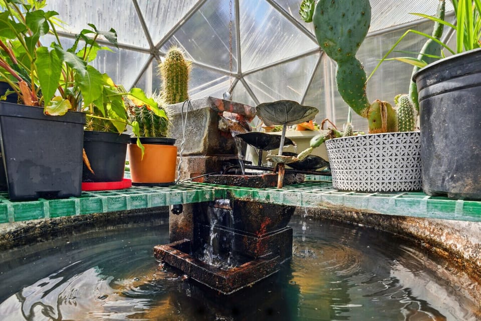 Greenhouse in back yard