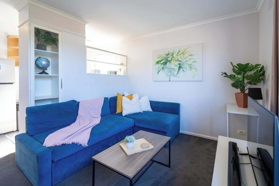 Sun-filled Corner Perfect for Indoor Relaxation