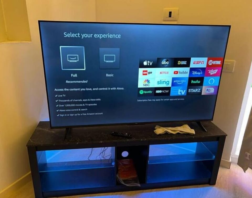 Television