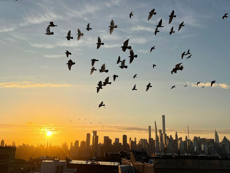 Stunning and Complete view of New York City from private deck