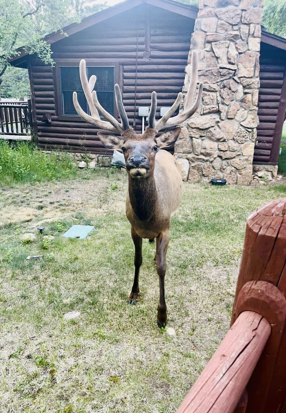 Hello!