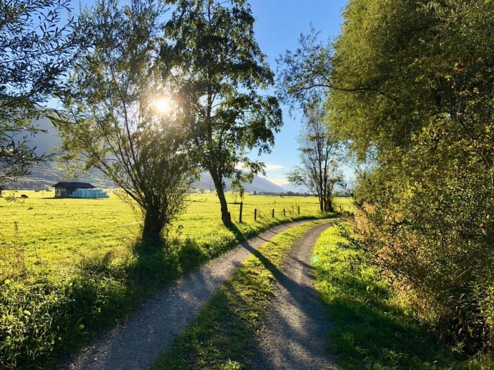 Region [summer] (>5 km)